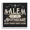 Stupell Industries Salem Apothecary Vintage Witch Sign Square Framed Giclée Wall Art